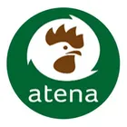Atena Atena